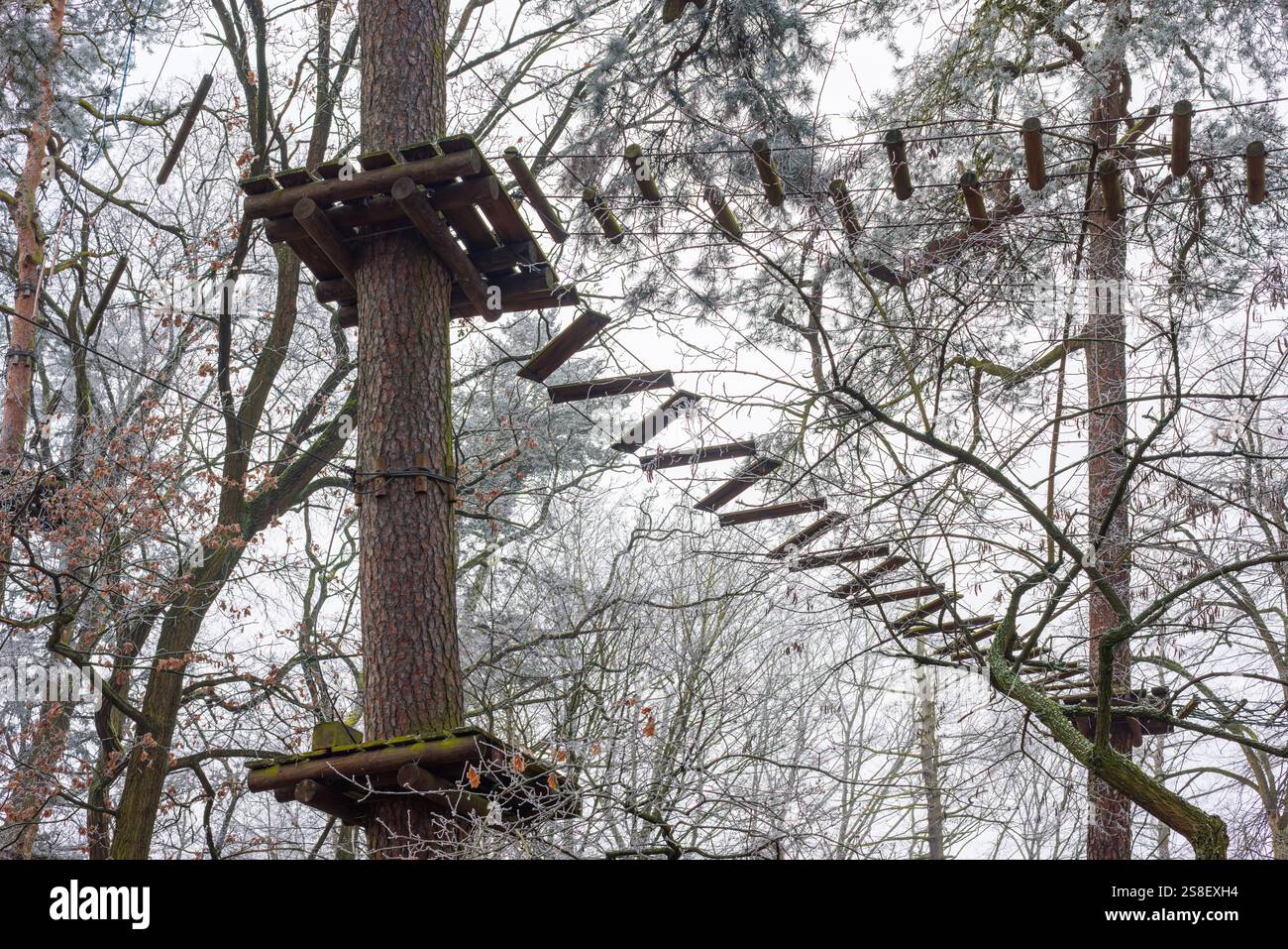 Ponts suspendus hauts dans les arbres du parc de cordes. Parc d'automne des sports extrêmes. Photo de haute qualité Banque D'Images