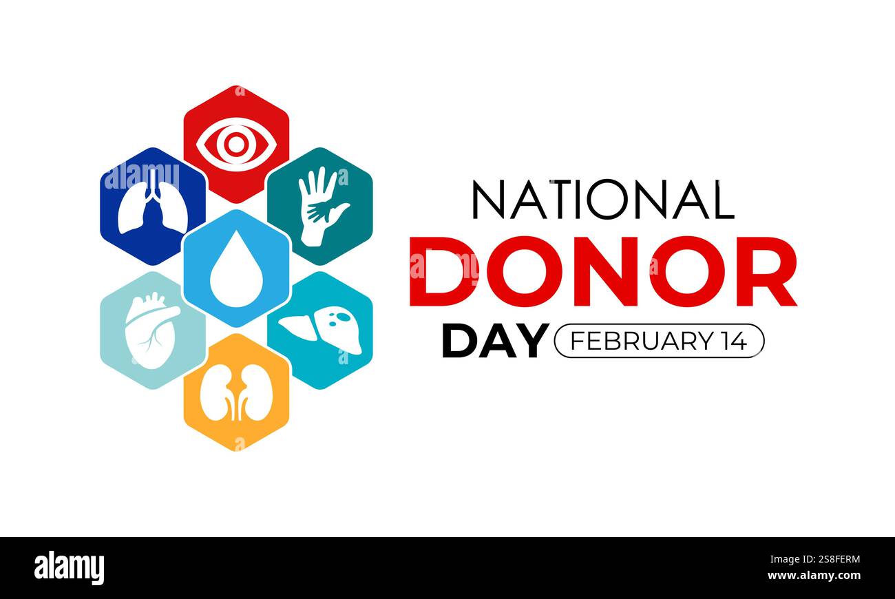 Graphique vectoriel sur le thème de la journée nationale des donateurs d'organes observée chaque année le 14 février. Don d'organes, d'yeux et de tissus. Affiche de bannière. Illustration de Vecteur