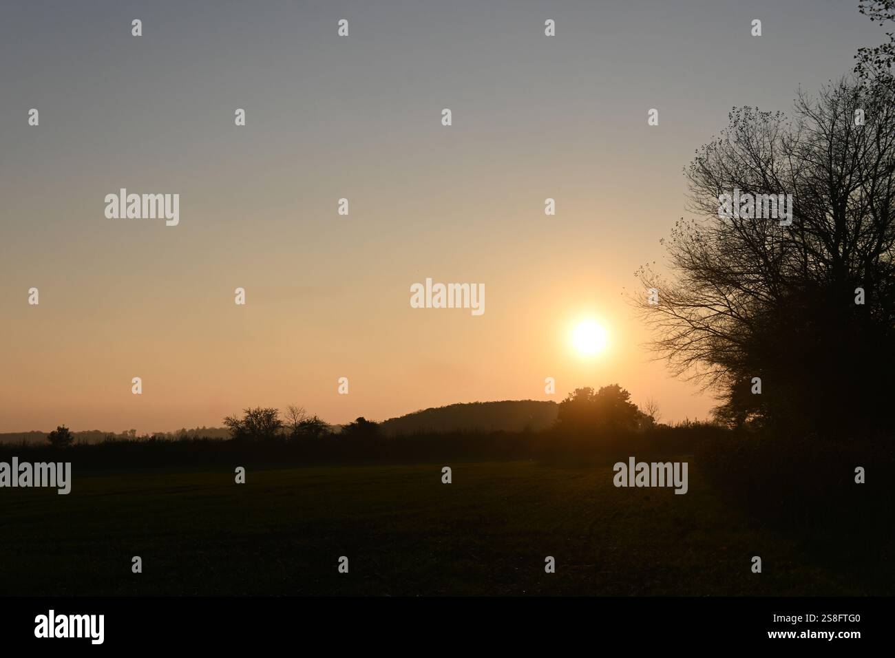 coucher de soleil sur le champ de jachère, suffolk Banque D'Images coucher de soleil sur le champ de jachère, suffolk Banque D'Images