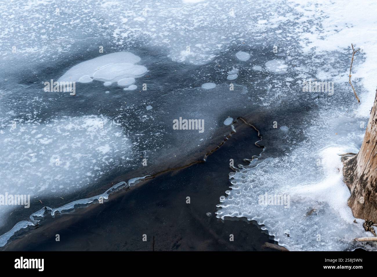 Lac partiellement gelé avec des motifs glacés à la surface formés par le gaz méthane émanant de bûches de bois pourries. Grotto Pond, Alberta, Canada. Banque D'Images