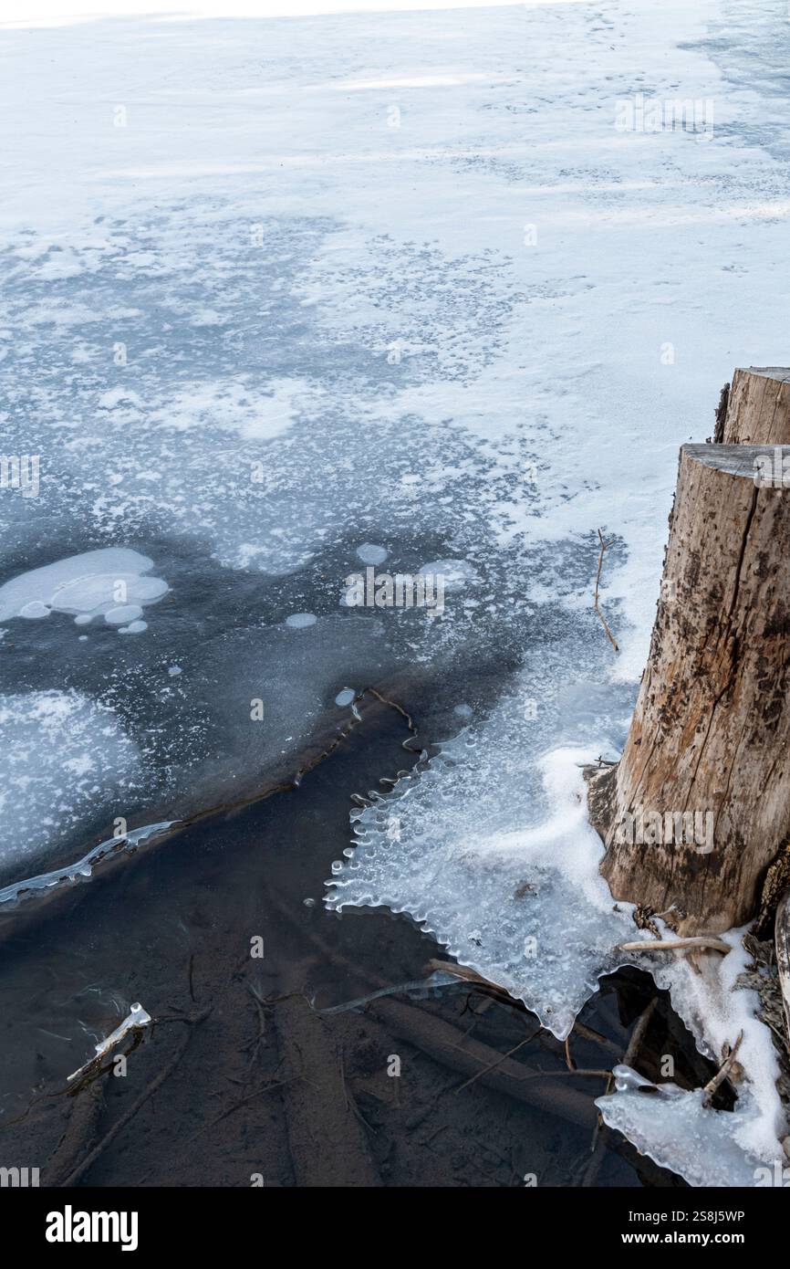 Lac partiellement gelé avec des motifs glacés à la surface formés par le gaz méthane émanant de bûches de bois pourries. Grotto Pond, Alberta, Canada. Banque D'Images