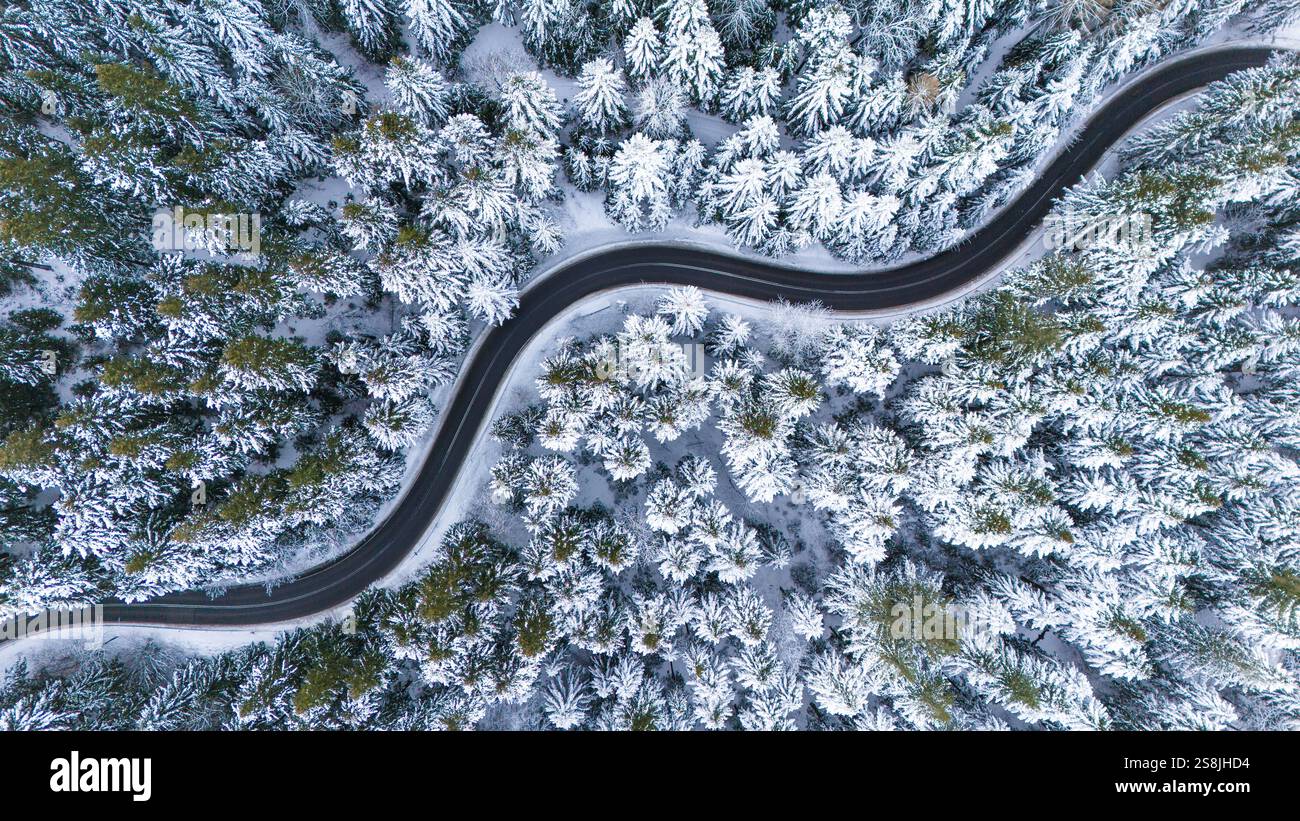 Route d'hiver sinueuse à travers des arbres enneigés. Vue drone Banque D'Images