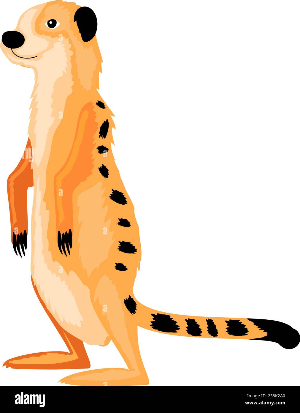 suricat animal du désert Illustration de Vecteur