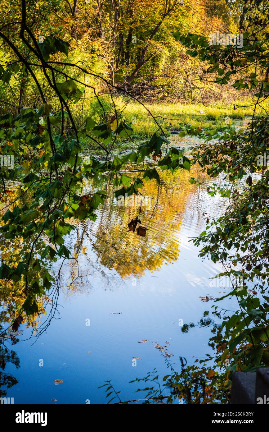 Springfield, MO États-Unis - 10 octobre 2020 : le sentier Boardwalk du Springfield conservation nature Center est une boucle de 2,1 dans la forêt. Banque D'Images