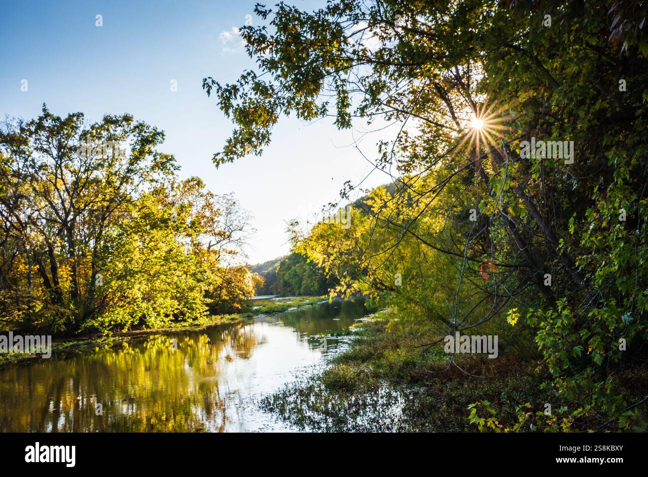 Springfield, MO États-Unis - 10 octobre 2020 : le sentier Boardwalk du Springfield conservation nature Center est une boucle de 2,1 dans la forêt. Banque D'Images