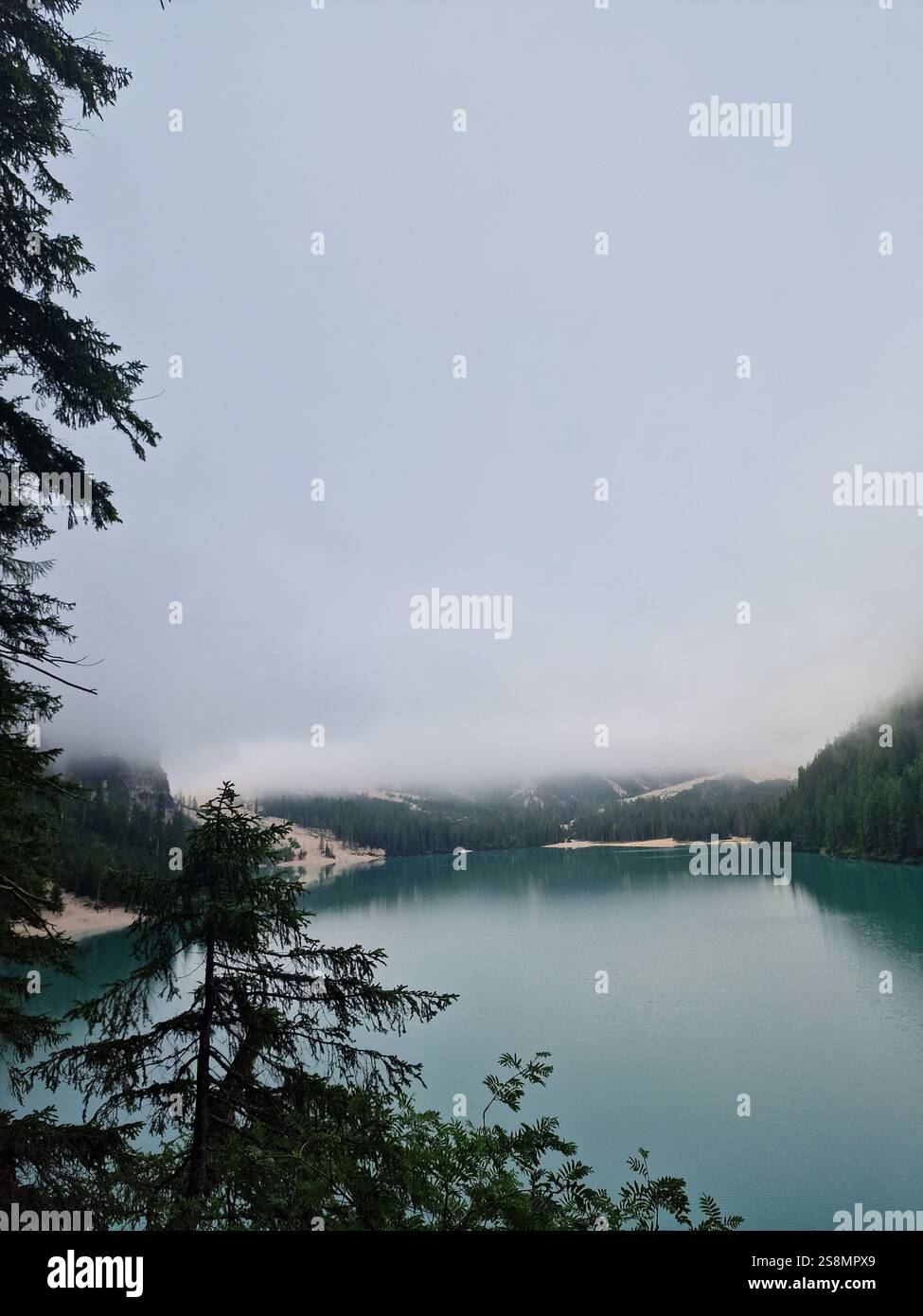 Lac tranquille enveloppé dans un brouillard dense, brume, Lago di Braies, Dolomites, Italie, paysage serein, un sentiment de calme, atmosphère paisible Banque D'Images