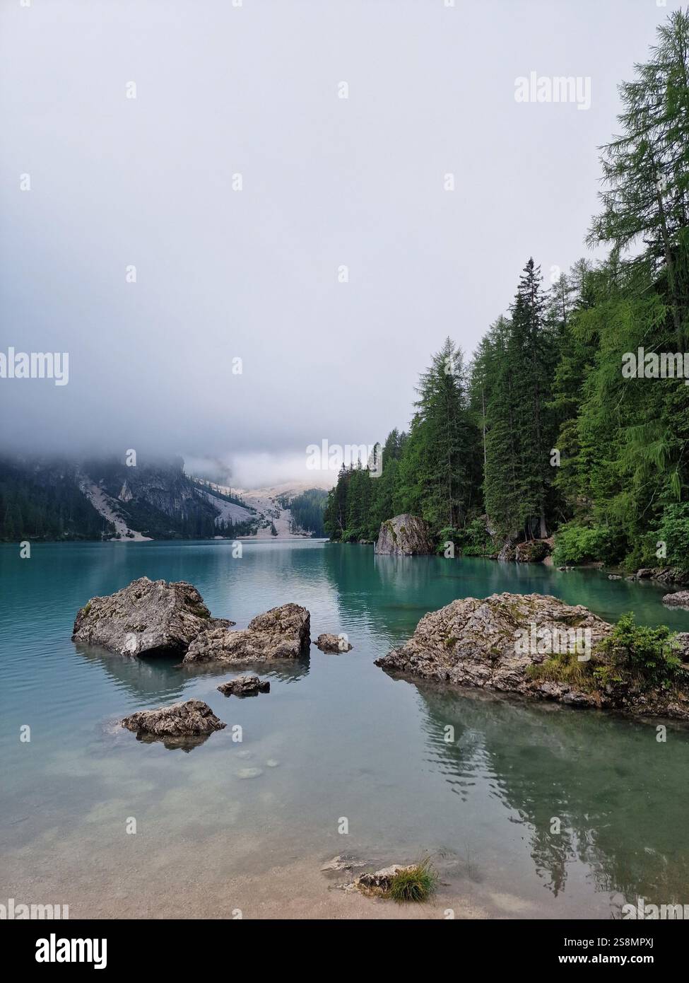 Lac tranquille enveloppé dans un brouillard dense, brume, Lago di Braies, Dolomites, Italie, paysage serein, un sentiment de calme, atmosphère paisible Banque D'Images