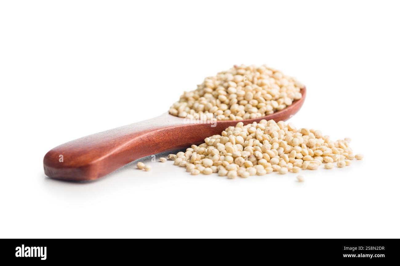 Graines de quinoa blanches non cuites sur cuillère isolées sur fond blanc. Banque D'Images