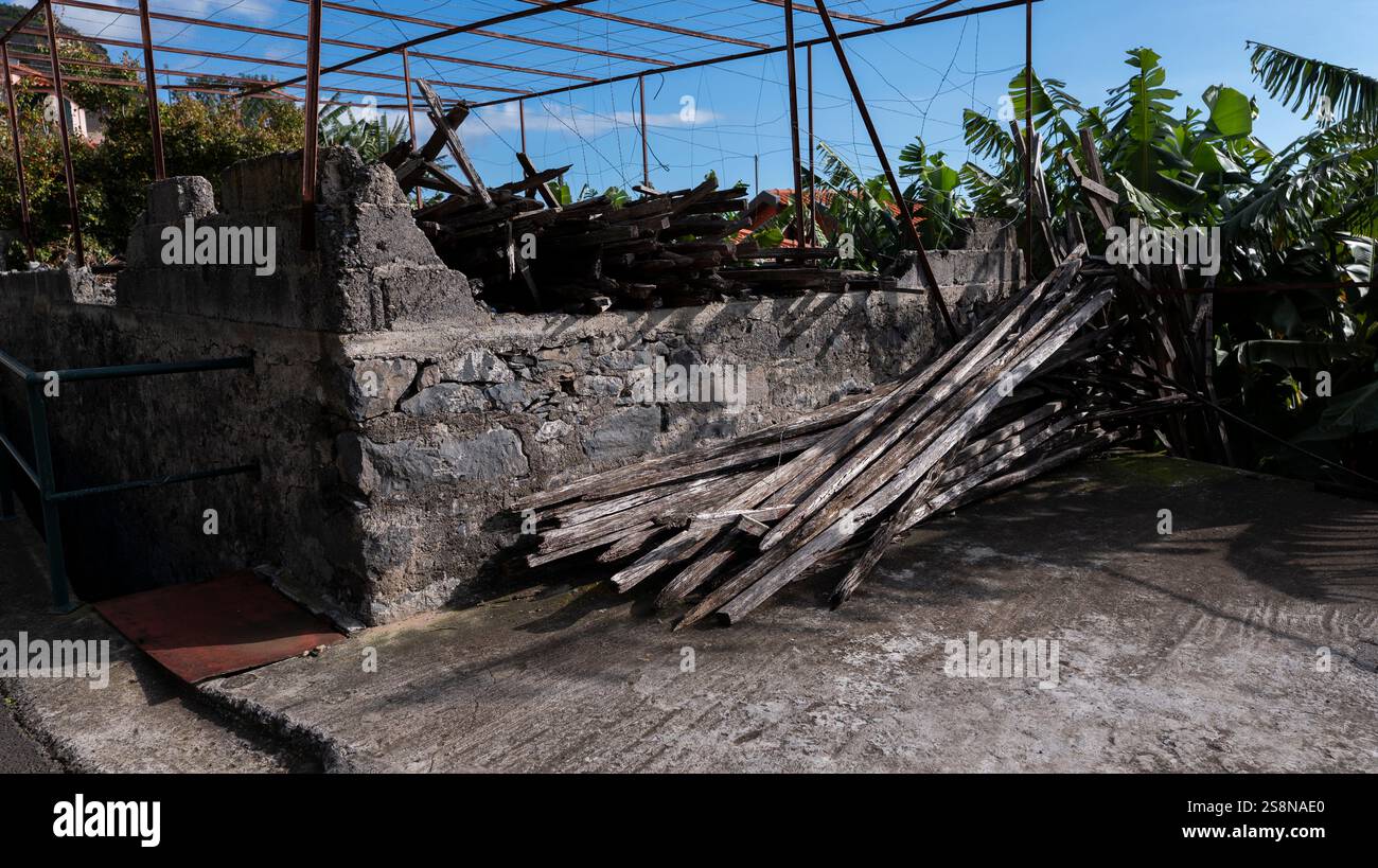 Une structure rurale abandonnée avec des murs en pierre en ruine et une charpente en métal rouillé, entourée de bananiers. Piles de planches de bois altérées indica Banque D'Images