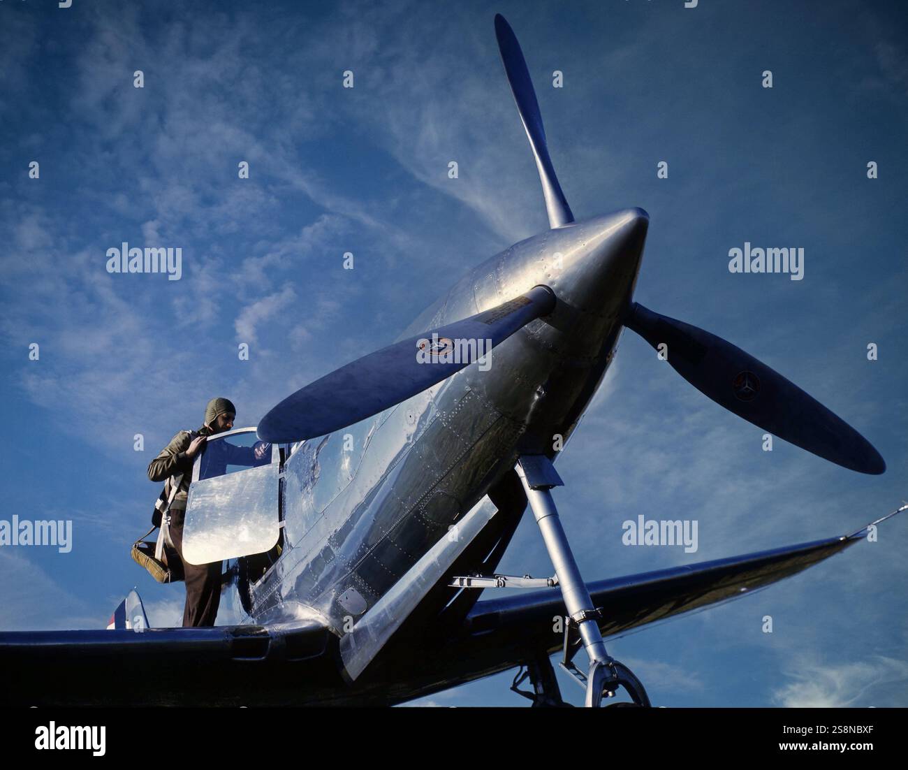 Pilote grimpant dans le cockpit d'un chasseur Bell P-39 Airacobra, l'un des principaux chasseurs américains en service lorsque l'United States Army Air Forces est entré au combat pendant la seconde Guerre mondiale. Il a également été utilisé par la Royal Air Force, Free French et l'Armée de l'air soviétique. Le P-39 avait une configuration inhabituelle, avec le moteur installé au centre du fuselage, derrière le pilote, entraînant une hélice de tracteur dans le nez avec un long arbre. Il a également été le premier chasseur équipé d'un train d'atterrissage tricycle. Banque D'Images