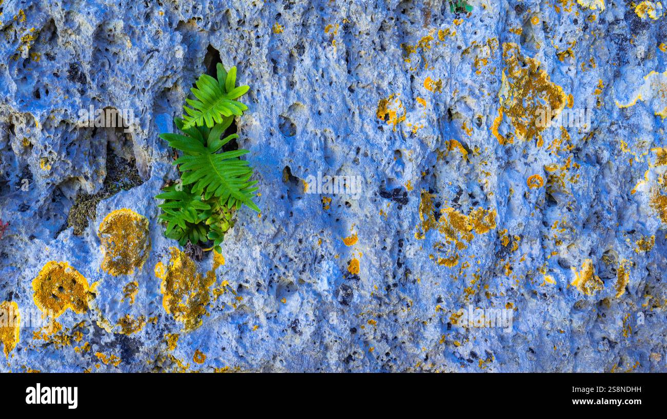 Design de fond abstrait texturé Natural Rock Banque D'Images
