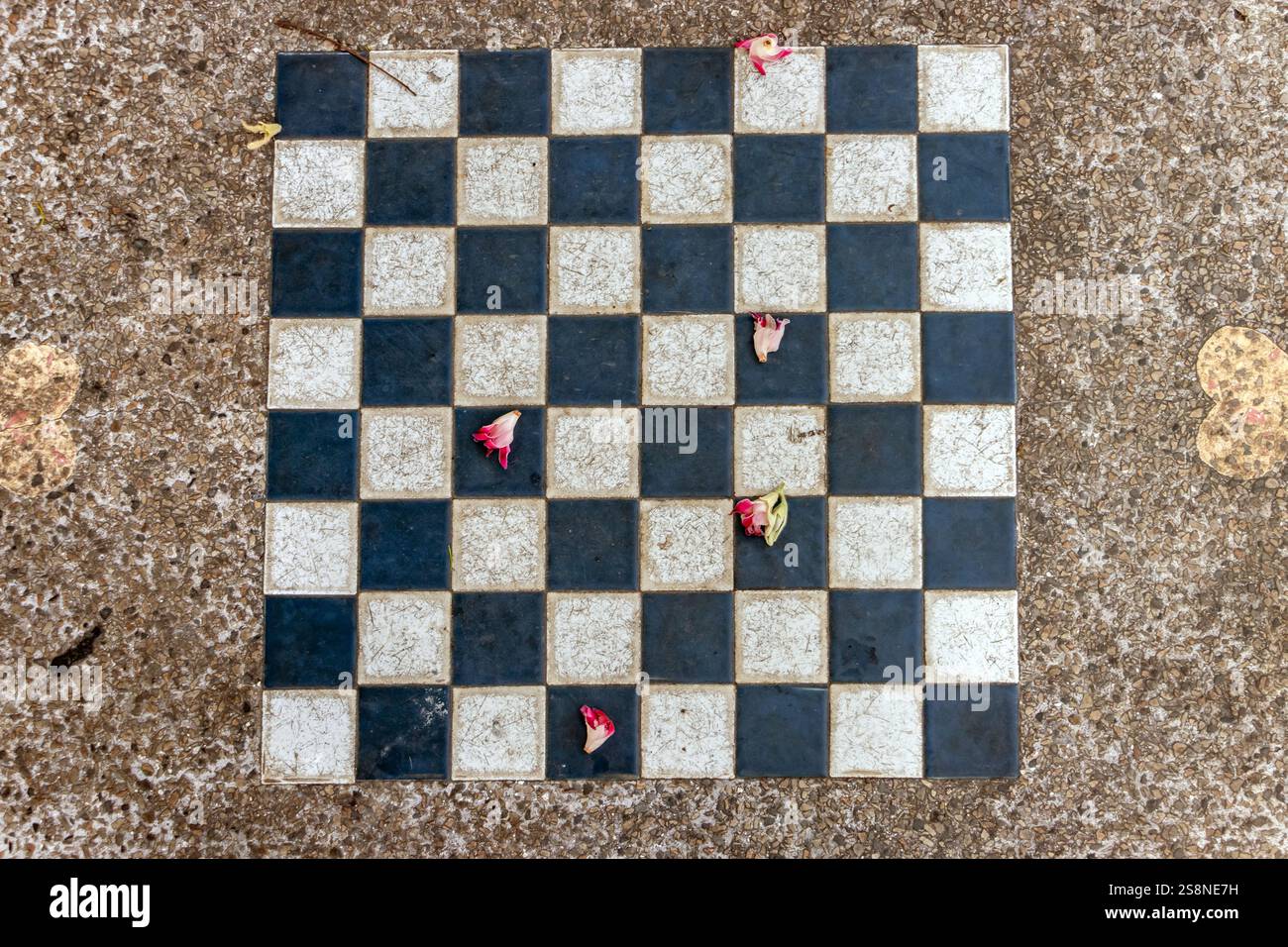 Échiquier peint sur une table dans le parc Banque D'Images