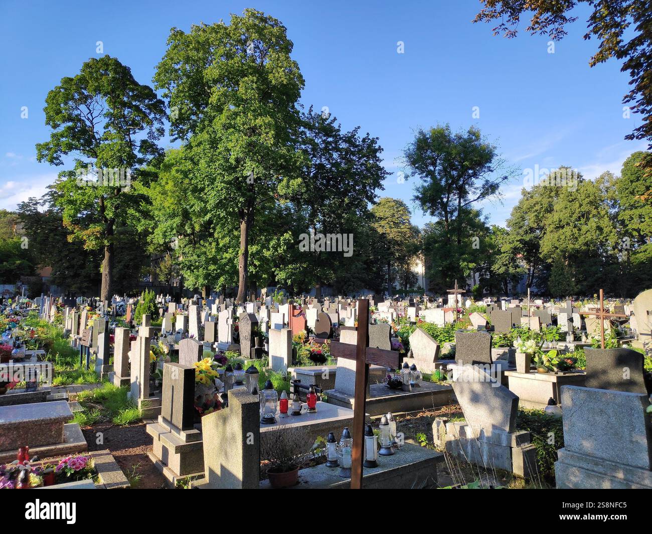 Vue d'été du cimetière polonais en juillet dans la ville de Bytom, Pologne. Banque D'Images