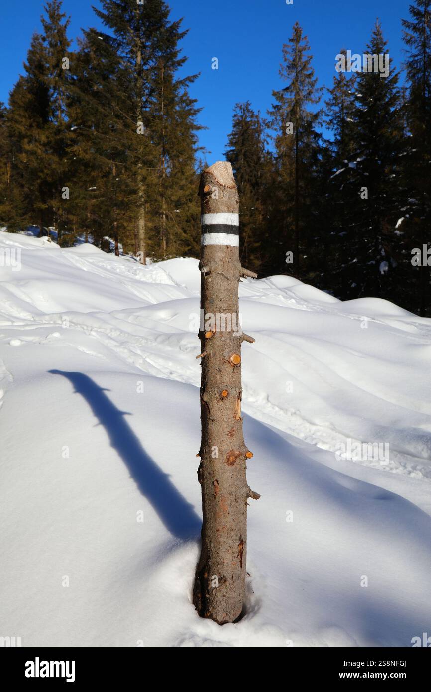 Hiver en Pologne - vue enneigée des montagnes Beskidy. Beskid Zywiecki Trail - Hala Rysianka. Banque D'Images