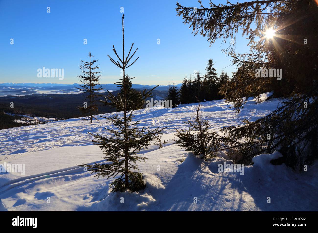 Hiver en Pologne - vue enneigée des montagnes Beskidy. Beskid Zywiecki Trail - Hala Rysianka. Banque D'Images