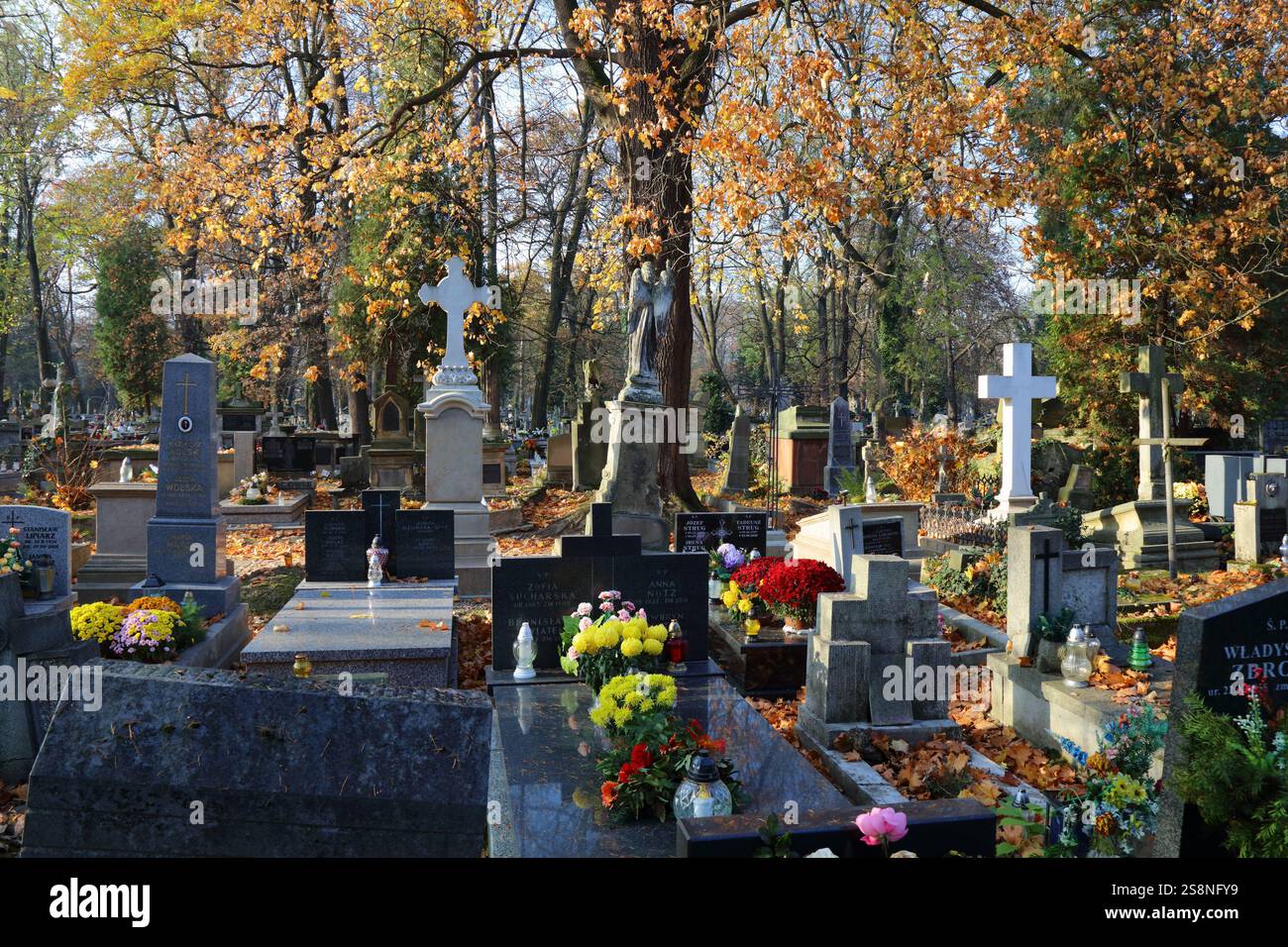 CRACOVIE, POLOGNE - 11 NOVEMBRE 2024 : tombes sur le cimetière de Rakowicki à Cracovie. La nécropole historique de Rakowice est un monument du patrimoine culturel. Banque D'Images