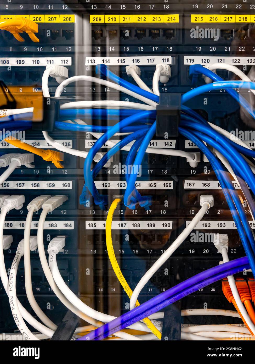 Racks de serveurs avec cordons de raccordement Internet bleu jaune et blanc connectés à un panneau de raccordement numéroté noir dans une salle de serveurs. Réseaux intranet Banque D'Images