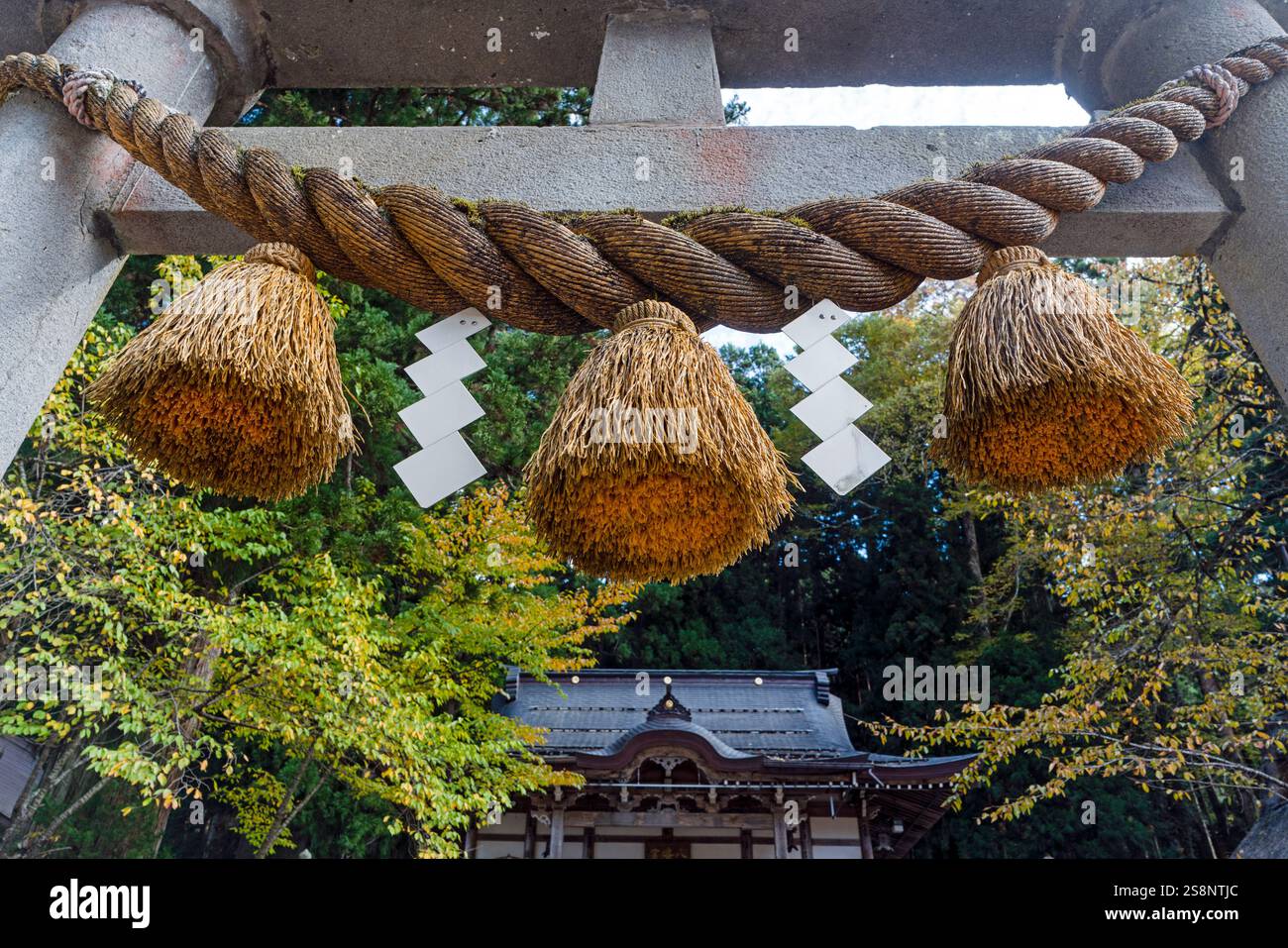 Cordes shimenawa dans un temple japonais Banque D'Images