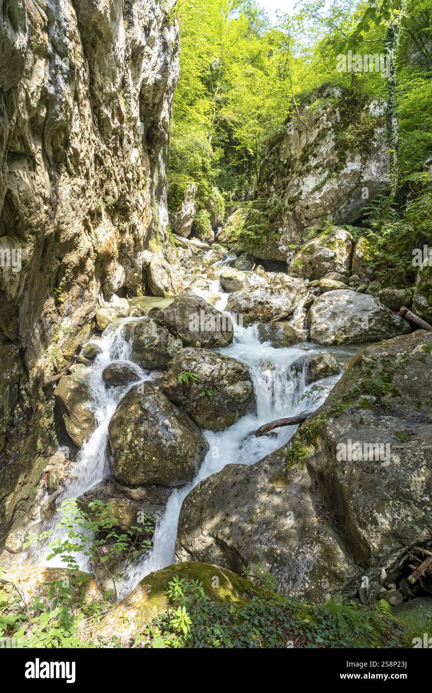 Sass Corbee, Lac de Côme, Lago di Côme, Italie, Europe Banque D'Images