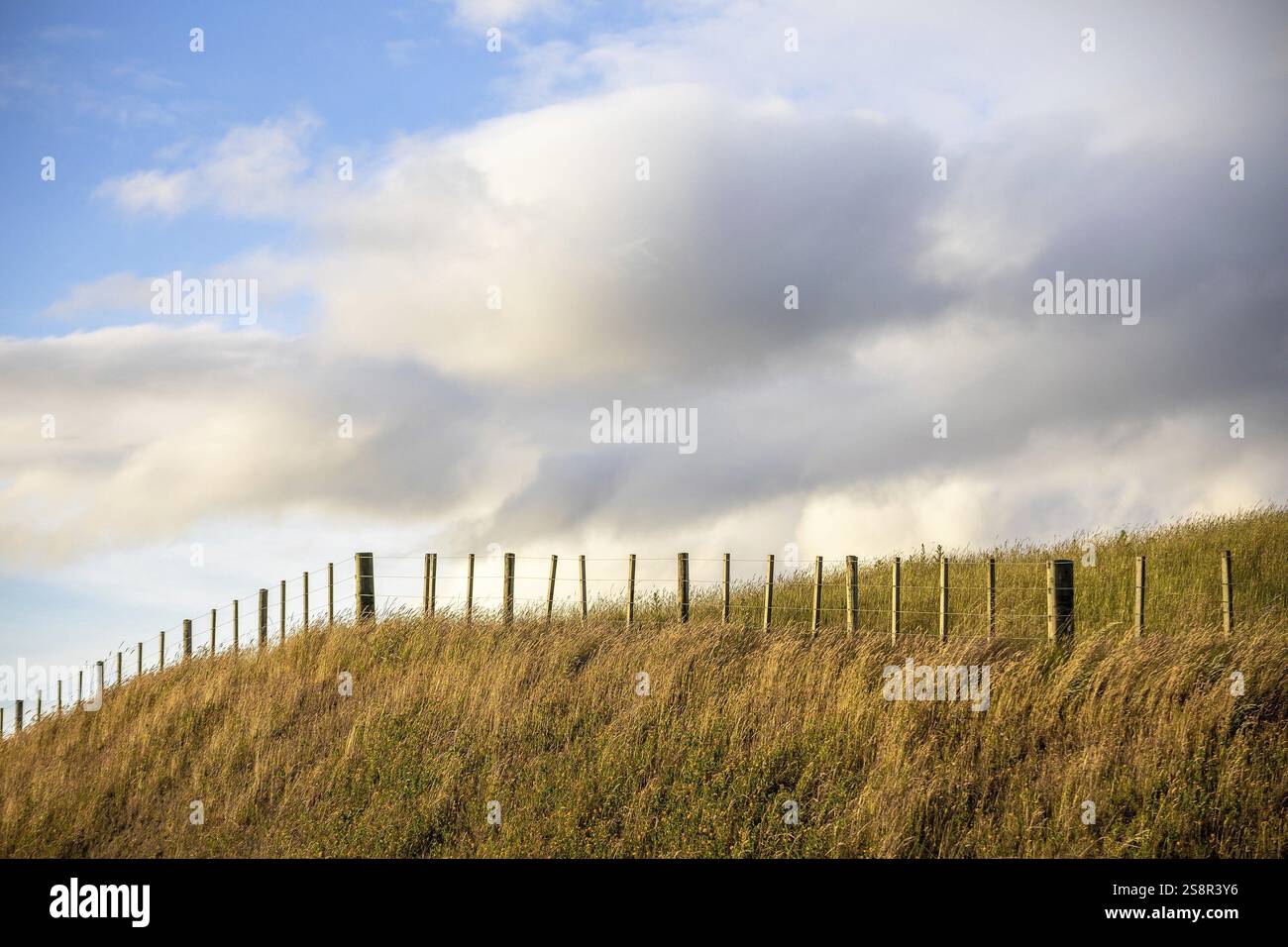 Une image d'une colline avec un fond de nature de clôture Banque D'Images