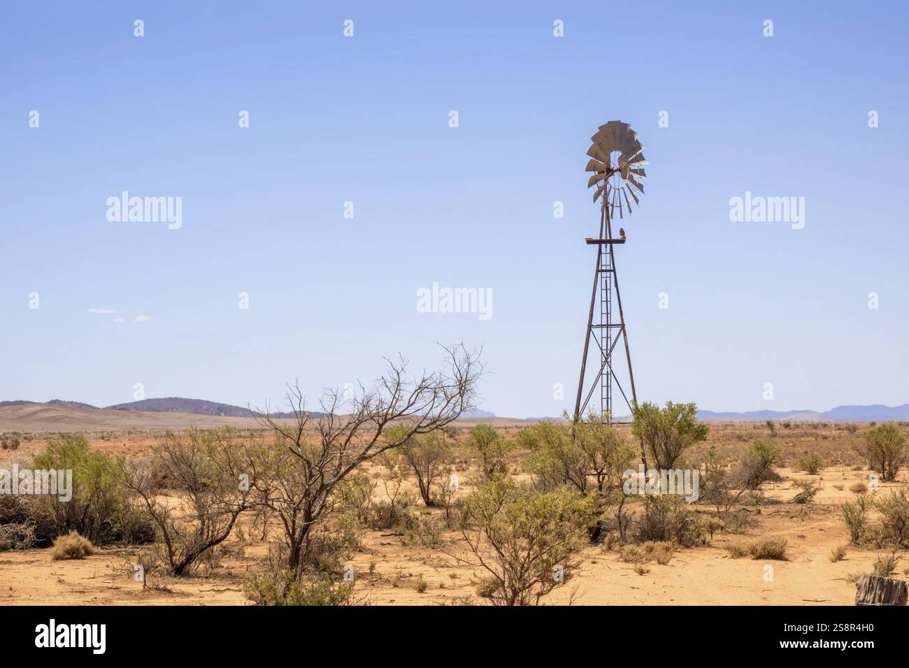 Une image d'un moulin à vent typique en australie Banque D'Images