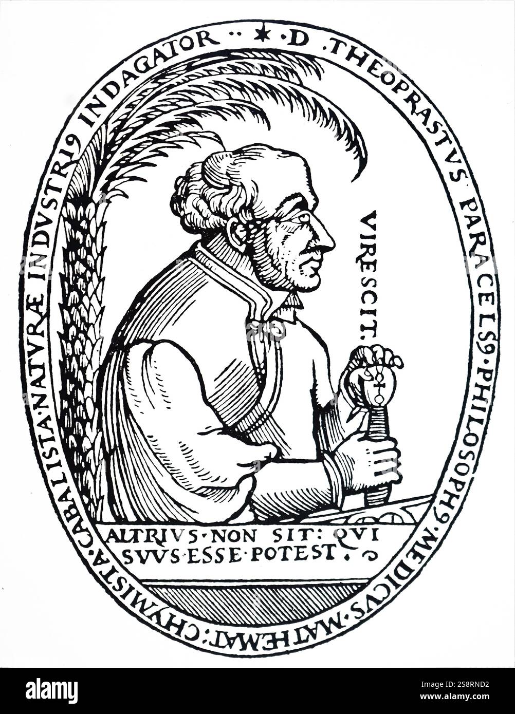 Portrait de Paracelse (1493-1541) un médecin suisse, alchimiste et astrologue de la Renaissance allemande. En date du 16e siècle Banque D'Images
