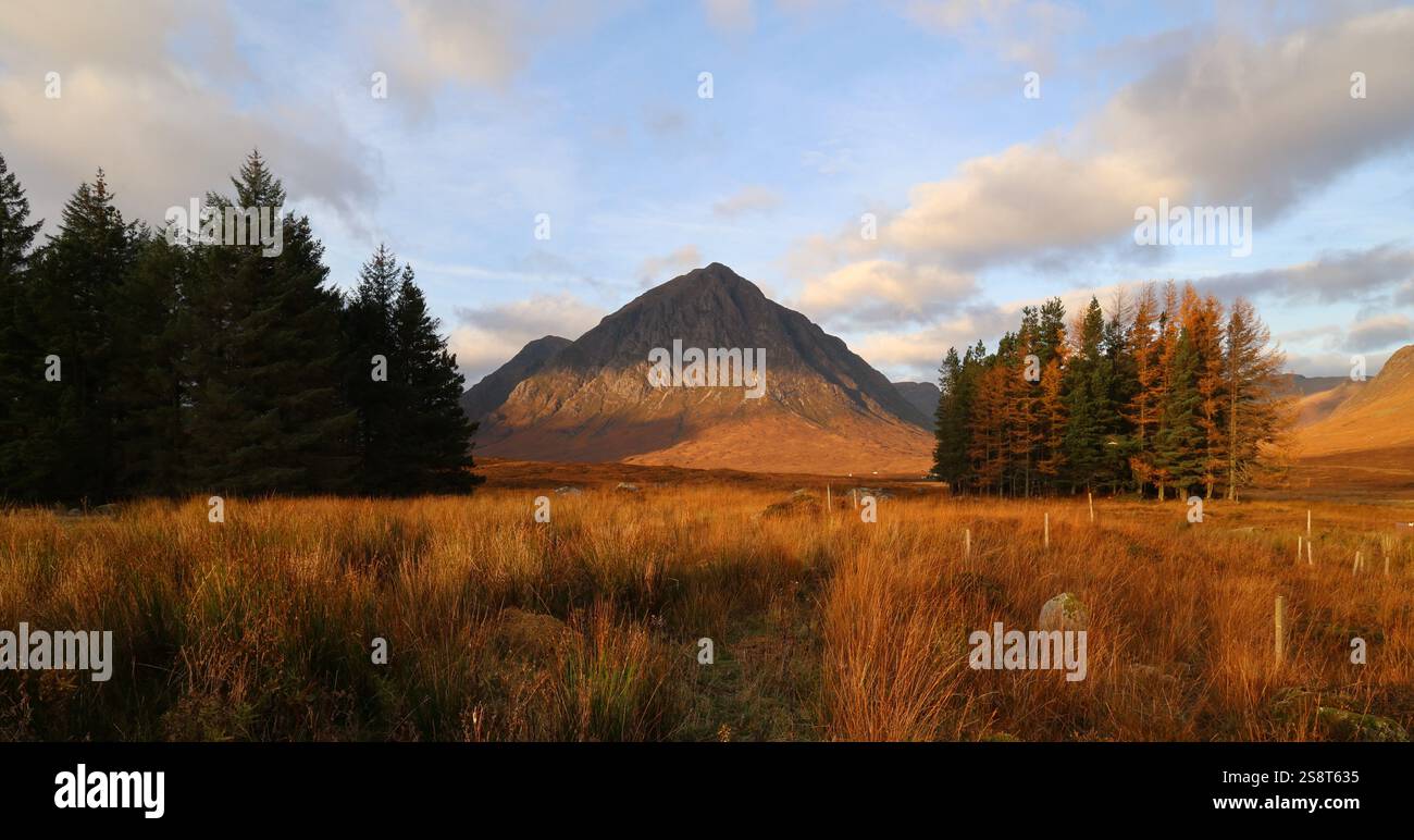 Écosse, Glencoe Etive Mor Banque D'Images
