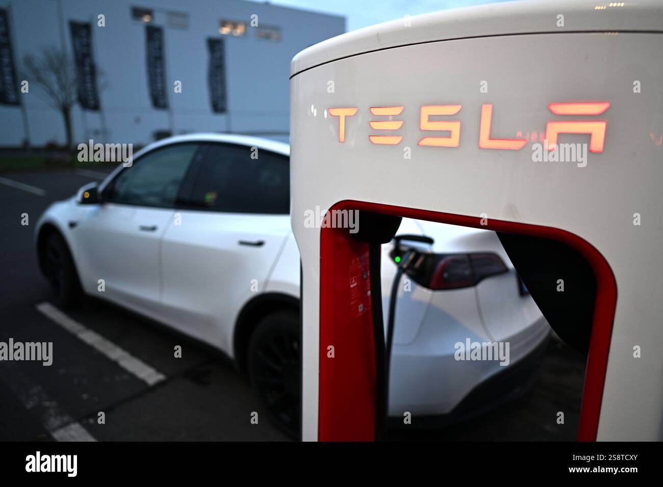 Frechen, Allemagne. 23 janvier 2025. Une voiture est garée aux piliers d'une station de recharge Tesla. Le milliardaire technologique et patron de Tesla Musk attire l'attention - également avec le soutien politique des populistes de droite. Dans certaines suites exécutives, les conséquences sont tirées et les voitures de société Tesla sont abandonnées. Crédit : Federico Gambarini/dpa/Alamy Live News Banque D'Images