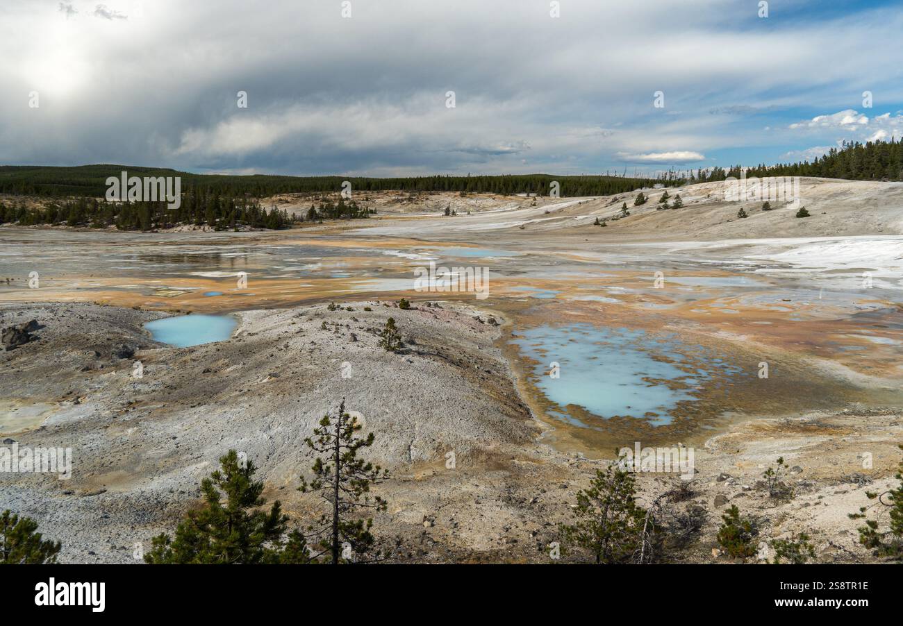 Vue panoramique du bassin de porcelaine dans le bassin Norris Geyser dans le parc national de Yellowstone Banque D'Images