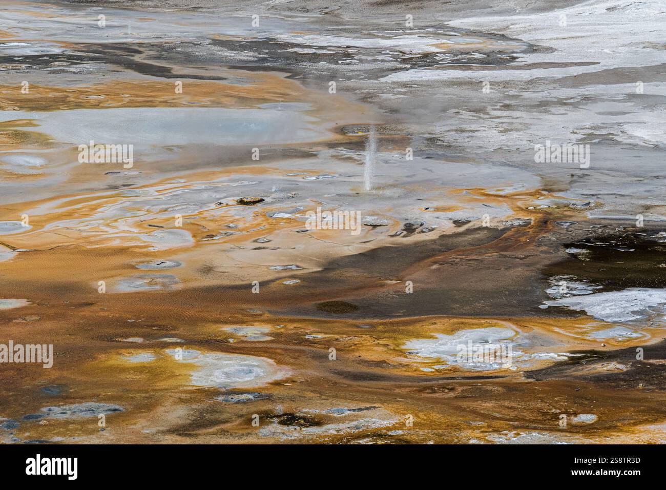 Vue panoramique du bassin de porcelaine dans le bassin Norris Geyser dans le parc national de Yellowstone Banque D'Images