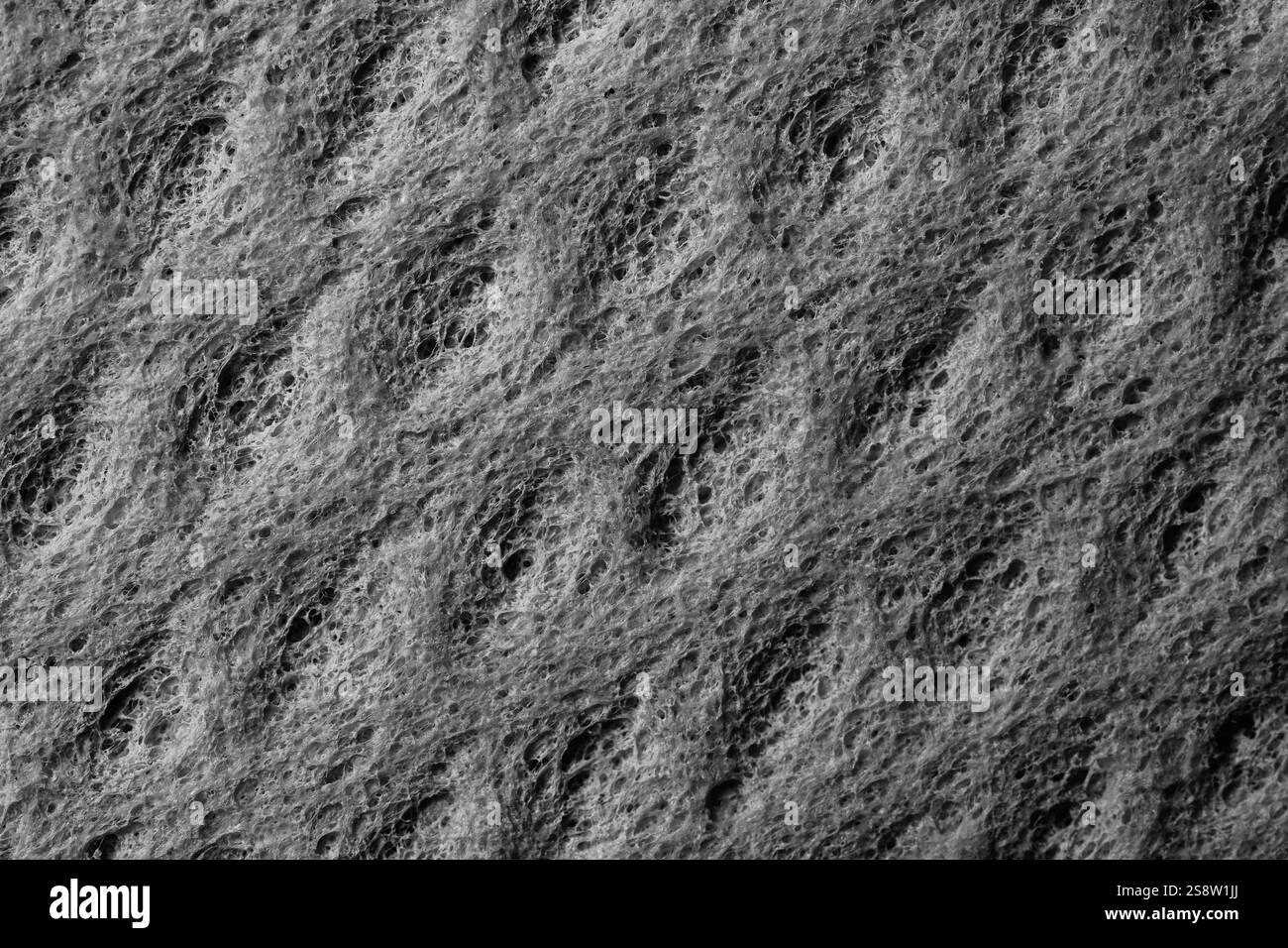 Détail d'une éponge, de texture texture éponge close up l'arrière-plan. Éponge en cellulose de texture. Le noir et blanc Banque D'Images