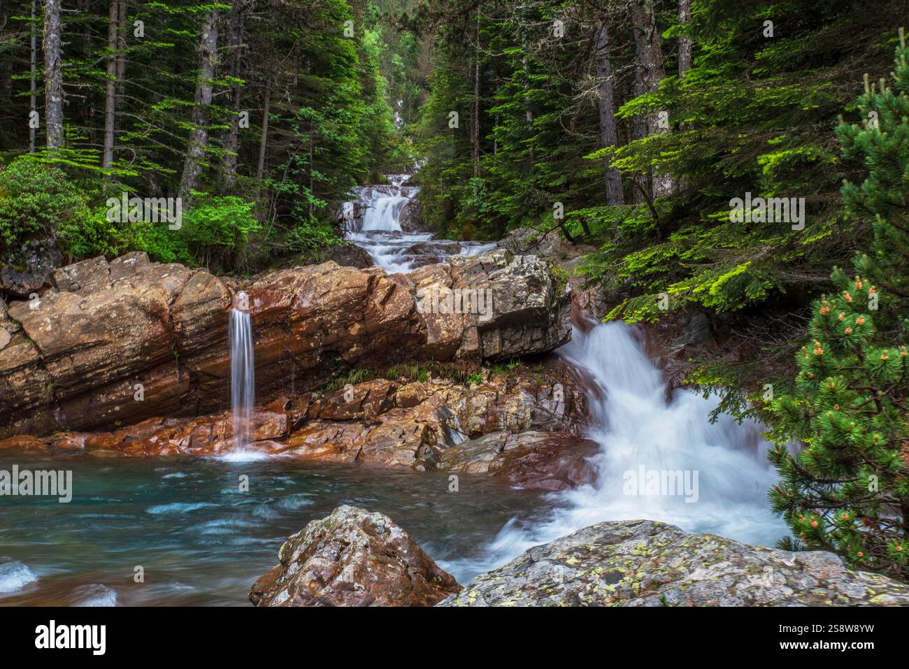 Petite cascade de montagne dans la forêt des Pyrénées en France Banque D'Images