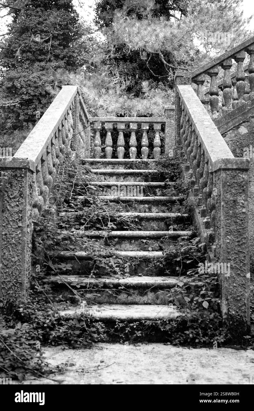 Les escaliers couverts de lierre d'une vieille maison abandonnée. Forêt d'Umbra, parc national du Gargano, Italie. Banque D'Images