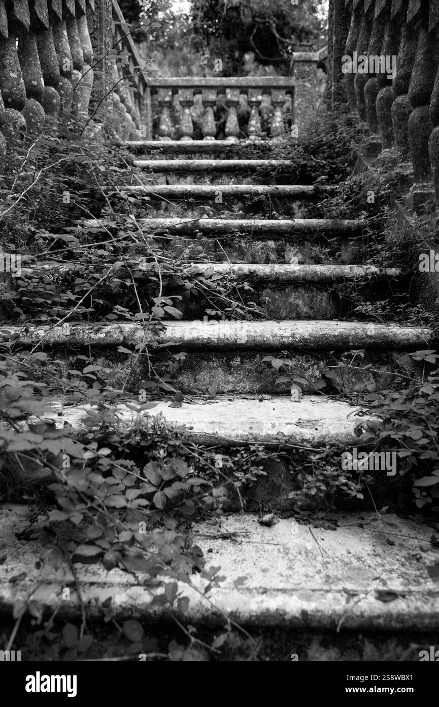 Les escaliers couverts de lierre d'une vieille maison abandonnée. Forêt d'Umbra, parc national du Gargano, Italie. Banque D'Images
