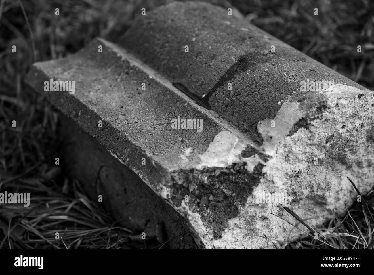 Bloc de béton altéré reposant sur l'herbe révèle la texture et l'âge en noir et blanc Banque D'Images