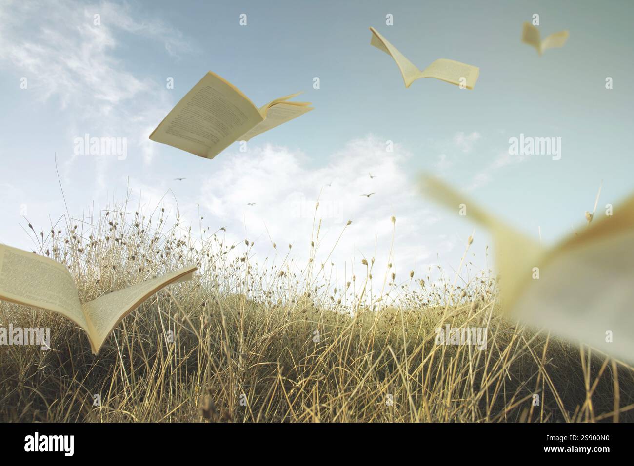 Pages d'un livre volant librement dans un pré, comme des oiseaux dans le ciel Banque D'Images Pages d'un livre volant librement dans un pré, comme des oiseaux dans le ciel Banque D'Images