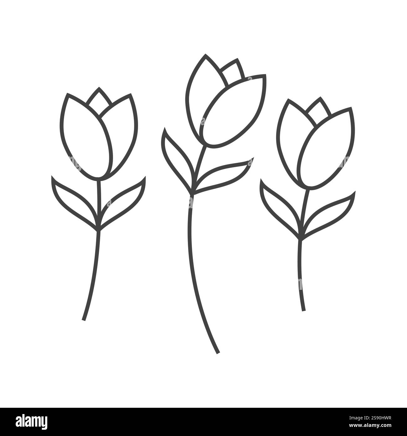 ligne icône fleur tulipe rose isolé sur fond blanc Illustration de Vecteur ligne icône fleur tulipe rose isolé sur fond blanc Illustration de Vecteur