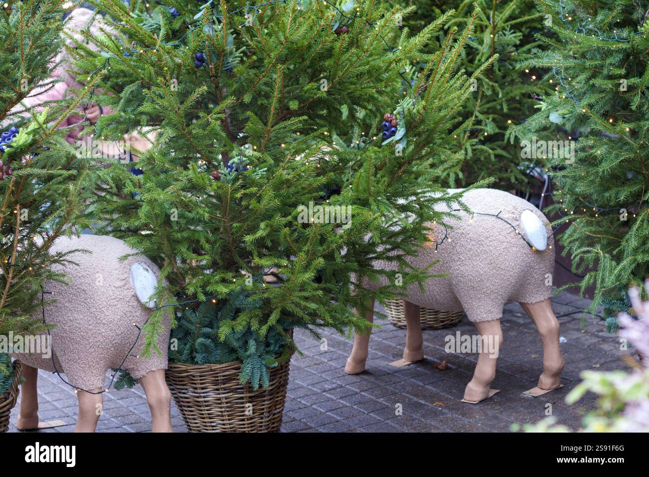 Plusieurs figurines de cochon décoratives placées dans des pots avec des arbres de Noël, créant une scène de marché de Noël inhabituelle et joyeuse. Banque D'Images