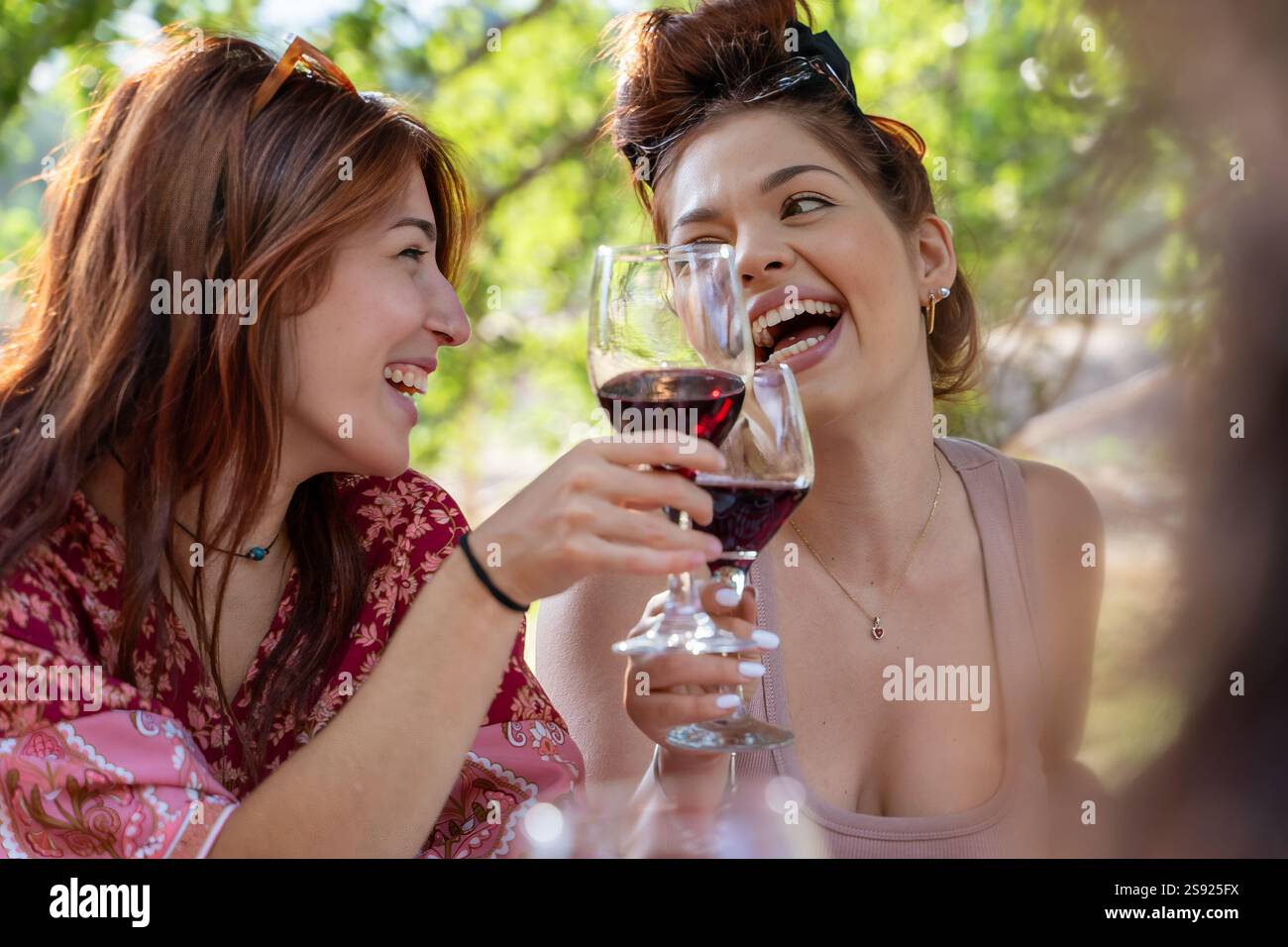 Deux femmes joyeuses riant et grillant avec du vin rouge lors d'un rassemblement en plein air dynamique, célébrant l'amitié et profitant de la journée ensoleillée. Banque D'Images