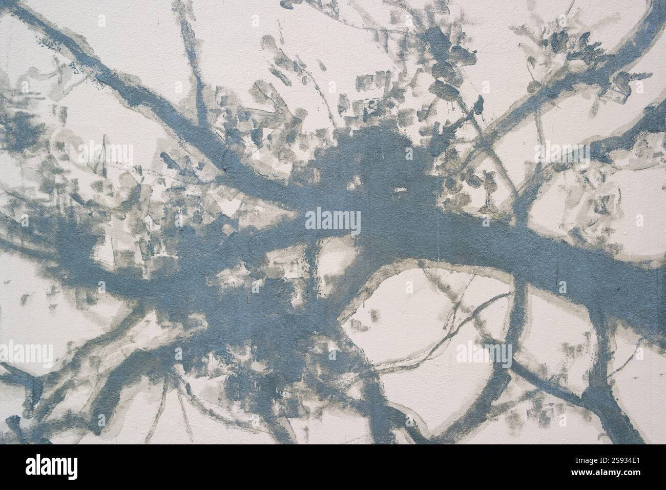 fond d'arbre d'hiver avec des silhouettes ombres de la texture de fond des branches Banque D'Images