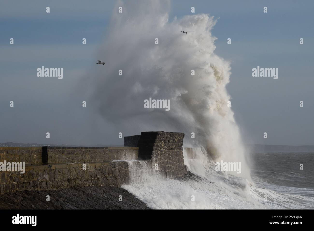 Porthcawl, pays de Galles du Sud, Royaume-Uni. 24 janvier 2025. Météo britannique : grandes vagues le long de la côte aujourd'hui causées par la tempête Éowyn. Crédit : Andrew Bartlett/Alamy Live News Banque D'Images Porthcawl, pays de Galles du Sud, Royaume-Uni. 24 janvier 2025. Météo britannique : grandes vagues le long de la côte aujourd'hui causées par la tempête Éowyn. Crédit : Andrew Bartlett/Alamy Live News Banque D'Images