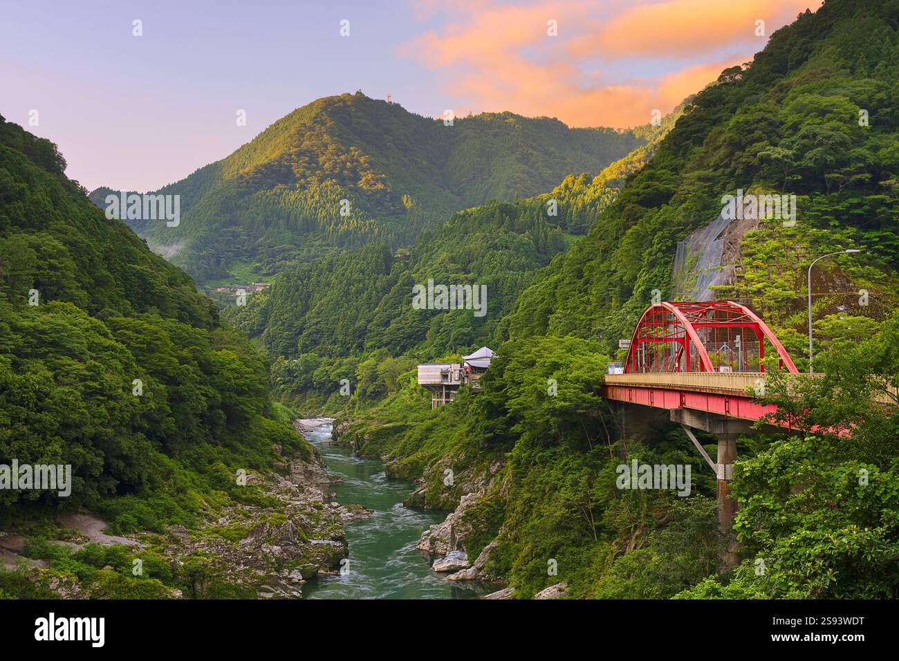Vallée d'Iyano à Shikoku, Japon. Banque D'Images