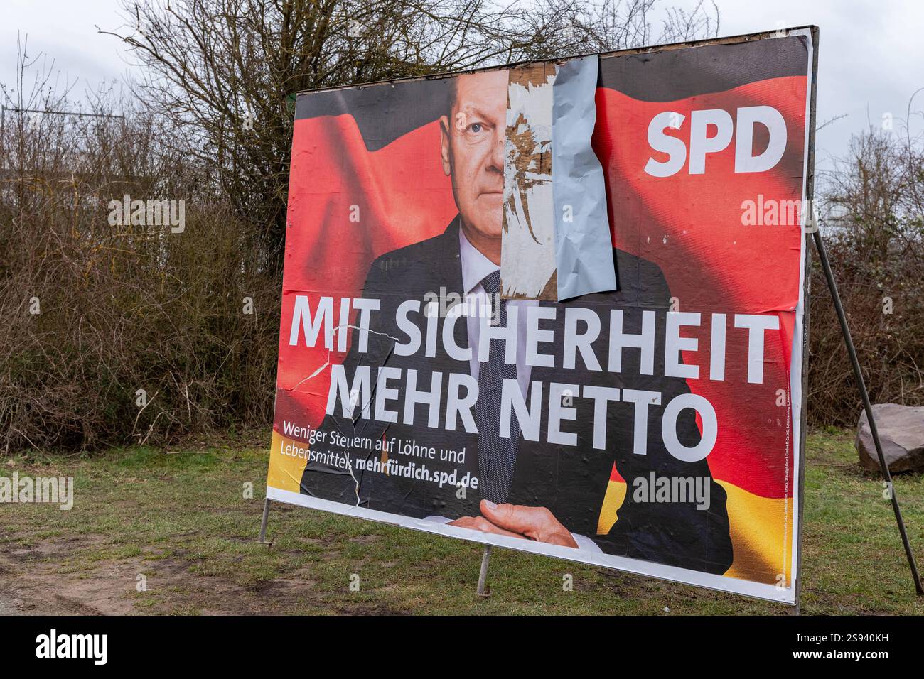 Beschädigtes Wahlplakat der SPD - Bundestagswahlkampf 2025 24.01.25, Hünfelden : Symbolfoto, Illustrationsbild, Symbolbild, Illustrationsfoto, Alltagsszene Beschädigtes Wahlplakat der SPD - Bundestagswahlkampf 2025 Ein teilweise beschädigtes Wahlplakat der SPD während des Bundestagswahlkampfes 2025. DAS Plakat zeigt den slogan mit Sicherheit mehr Netto vor einer roten Hintergrundgestaltung mit angedeuteter Deutschlandflagge. Der obere rechte Teil des Plakats mit dem Porträt von Olaf Scholz ist durch Abreißen beschädigt. IM Hintergrund sind karge Büsche und ein bewölkter Himmel zu sehen, die ein Banque D'Images