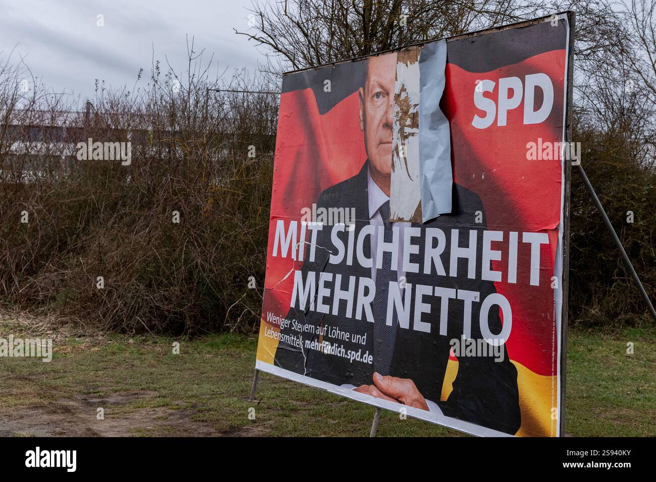 Beschädigtes Wahlplakat der SPD - Bundestagswahlkampf 2025 24.01.25, Hünfelden : Symbolfoto, Illustrationsbild, Symbolbild, Illustrationsfoto, Alltagsszene Beschädigtes Wahlplakat der SPD - Bundestagswahlkampf 2025 Ein teilweise beschädigtes Wahlplakat der SPD während des Bundestagswahlkampfes 2025. DAS Plakat zeigt den slogan mit Sicherheit mehr Netto vor einer roten Hintergrundgestaltung mit angedeuteter Deutschlandflagge. Der obere rechte Teil des Plakats mit dem Porträt von Olaf Scholz ist durch Abreißen beschädigt. IM Hintergrund sind karge Büsche und ein bewölkter Himmel zu sehen, die ein Banque D'Images