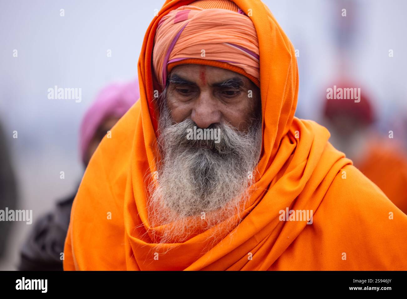 Mahakumbh, groupe de sadhu saints et de dévots marchant vers le fleuve ganga à sangam pour prendre le bain sacré pendant le sankranti makar à mahakumbh. Banque D'Images