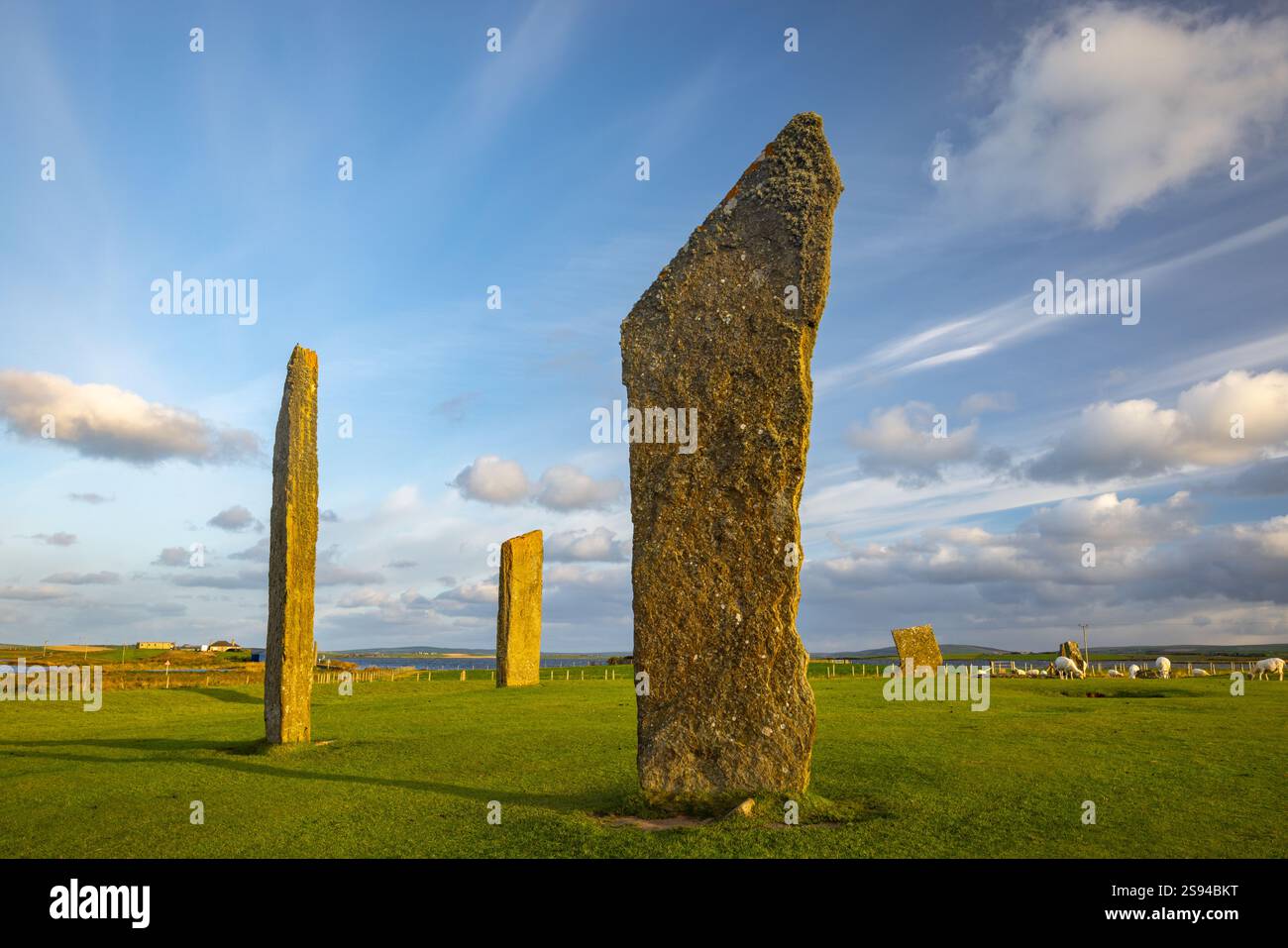 Les Standing Stones of Stenness sont un monument néolithique sur les Orcades, en Écosse, et sont magnifiques au coucher ou au lever du soleil Banque D'Images