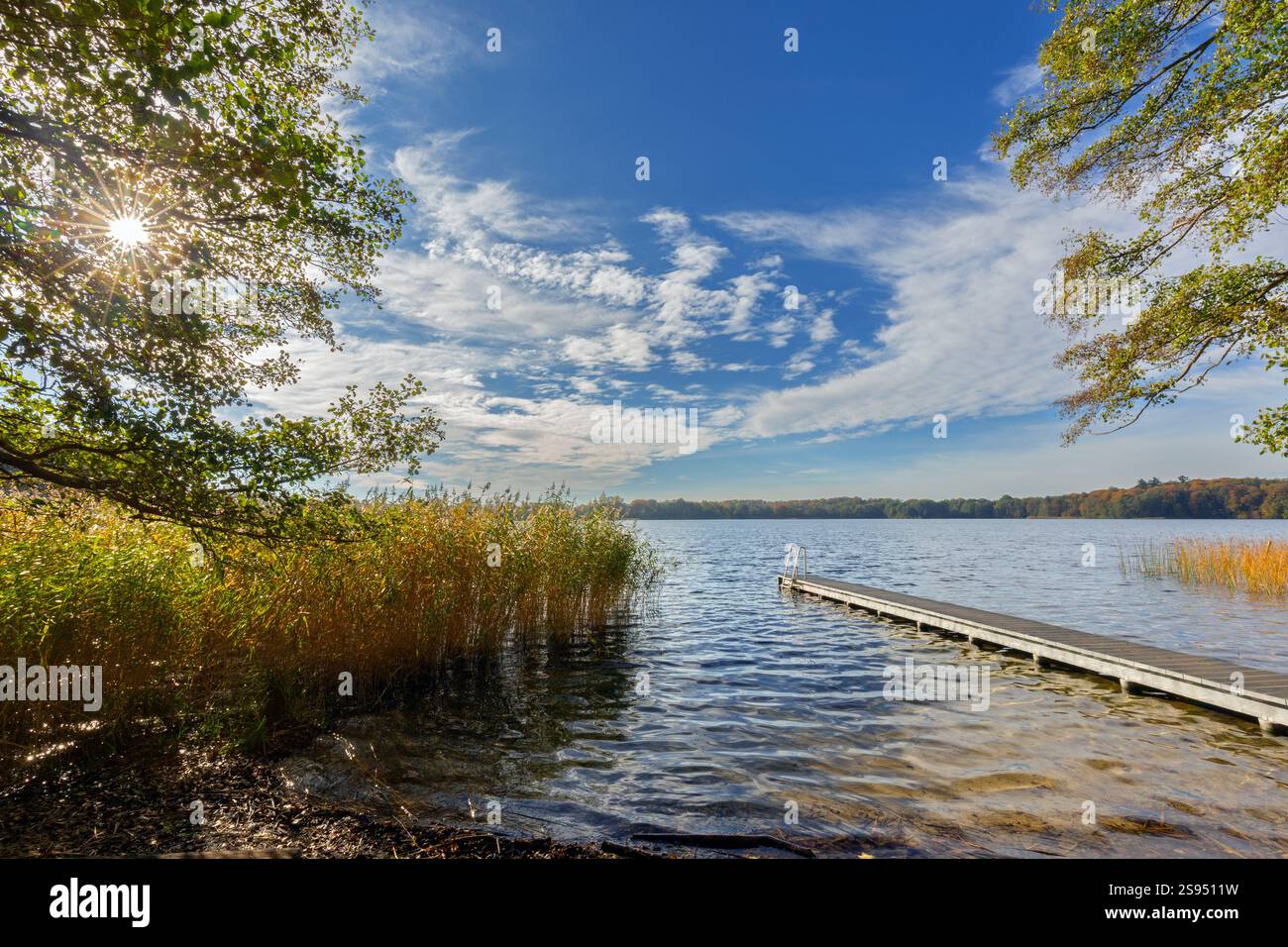 Jetée en bois au lac Schaalsee en automne / automne, Biosphärenreservat Schaalsee, Schleswig-Holstein, Allemagne Banque D'Images