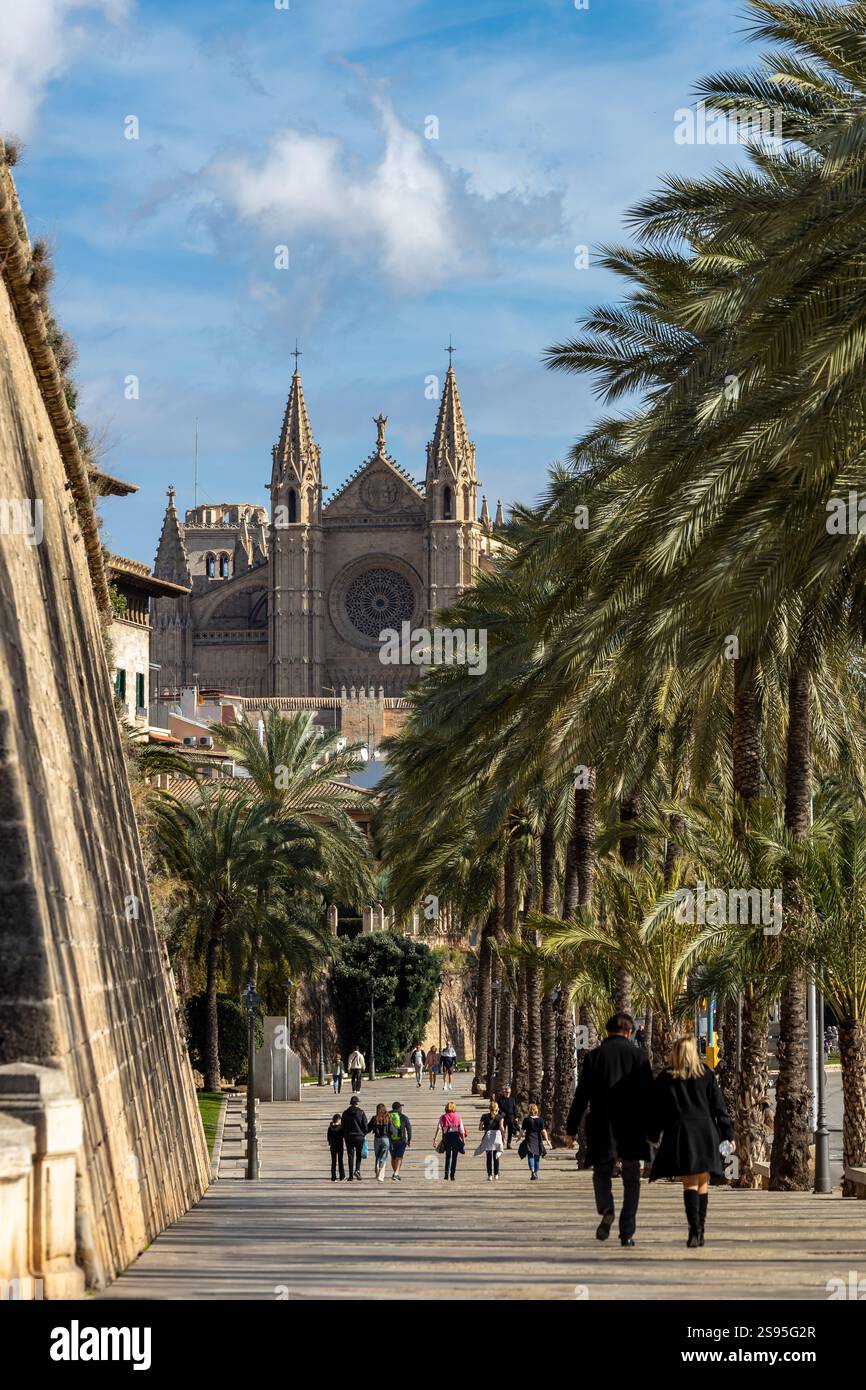 L'esplanade Passeig de Sagrera avec vue sur la cathédrale de Santa Maria de Palma ou la Seu, Palma, Majorque, Majorque, îles Baléares, Espagne, Europe Banque D'Images