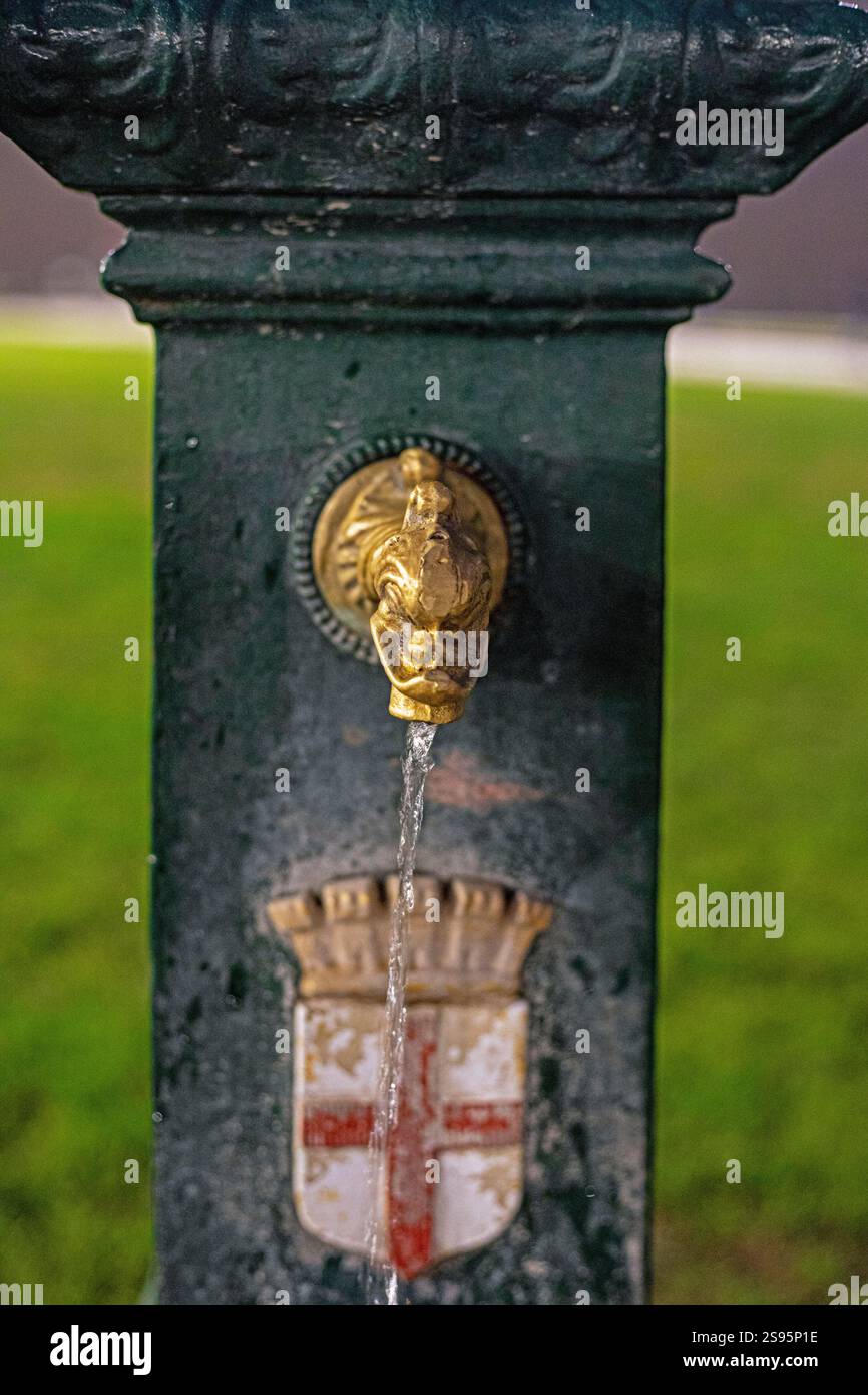 source d'eau utile en forme de tête de lion dans la partie historique de la ville Banque D'Images