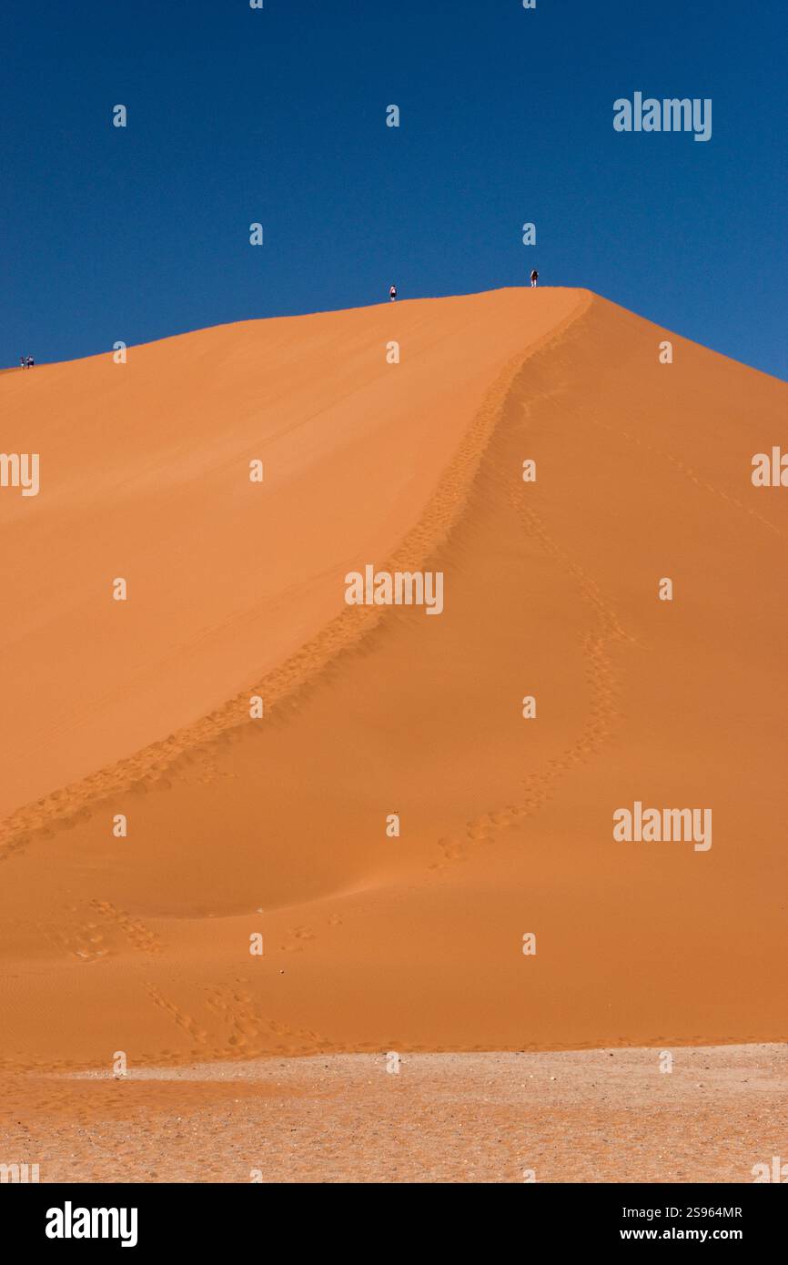 La Dune de sable rouge 45 est populaire pour l'escalade par les touristes à Sossusvlei, l'intérieur de la parc de Namib Naukluft en Namibie. Banque D'Images